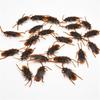 Simulare Animale Sălbatice Model Insectă Mare Jucării Animale pentru Educația Timpurie a Copiilor