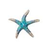 New Rhinestone Cute Multi-Color Starfish Brooches for Women Men Suit Clothes Personalized Star Brooch Pins Party Jewelry Gifts