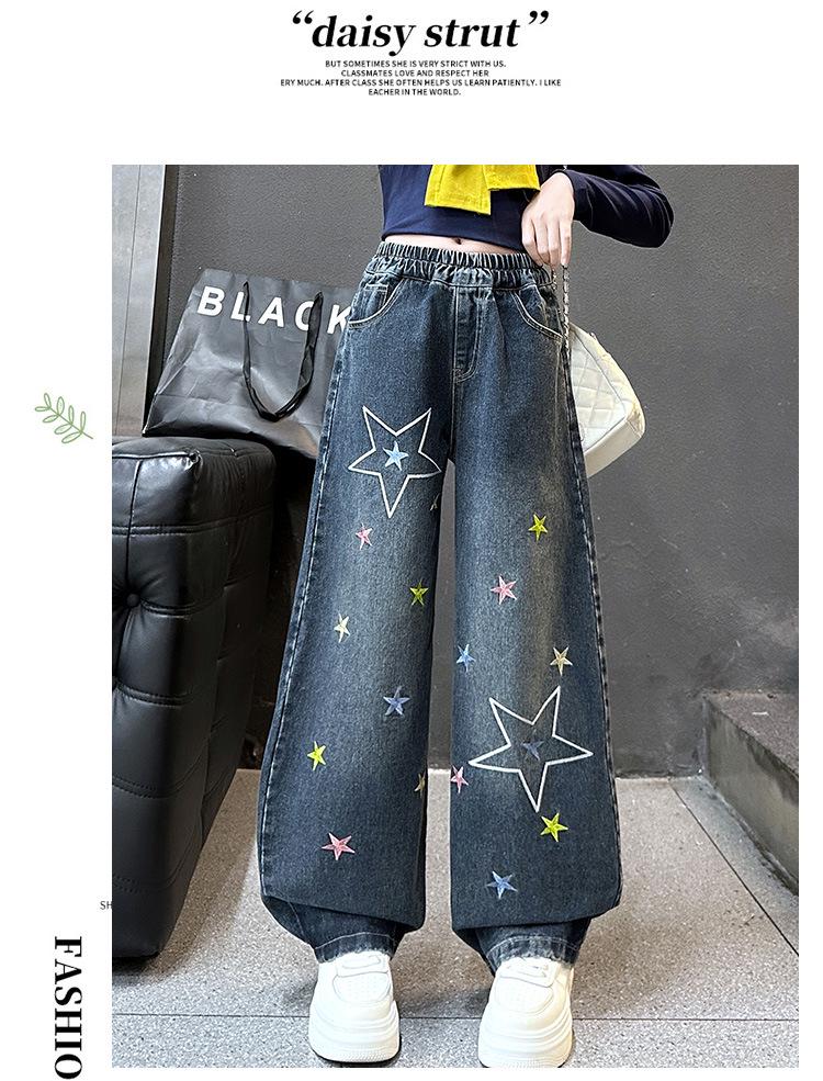 Women's 2025 Autumn Retro Star Embroidered Wide-Leg Jeans