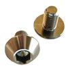 Roost Titan Kennzeichenhalter Schrauben Ti-6AL-4V GR5 64 Titan (M6 x 10mm 2 Stück)