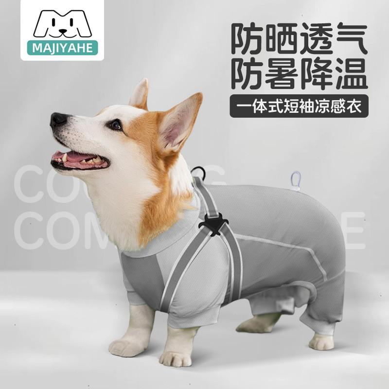 Cooling Dog Vest Sun Protection Shirt Large Medium Small Breeds With Integrated Leash Loop Or Harness Design