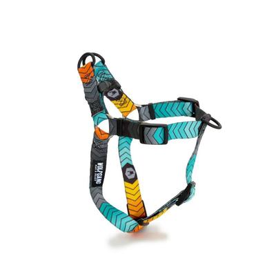 Perros – Collares y correas