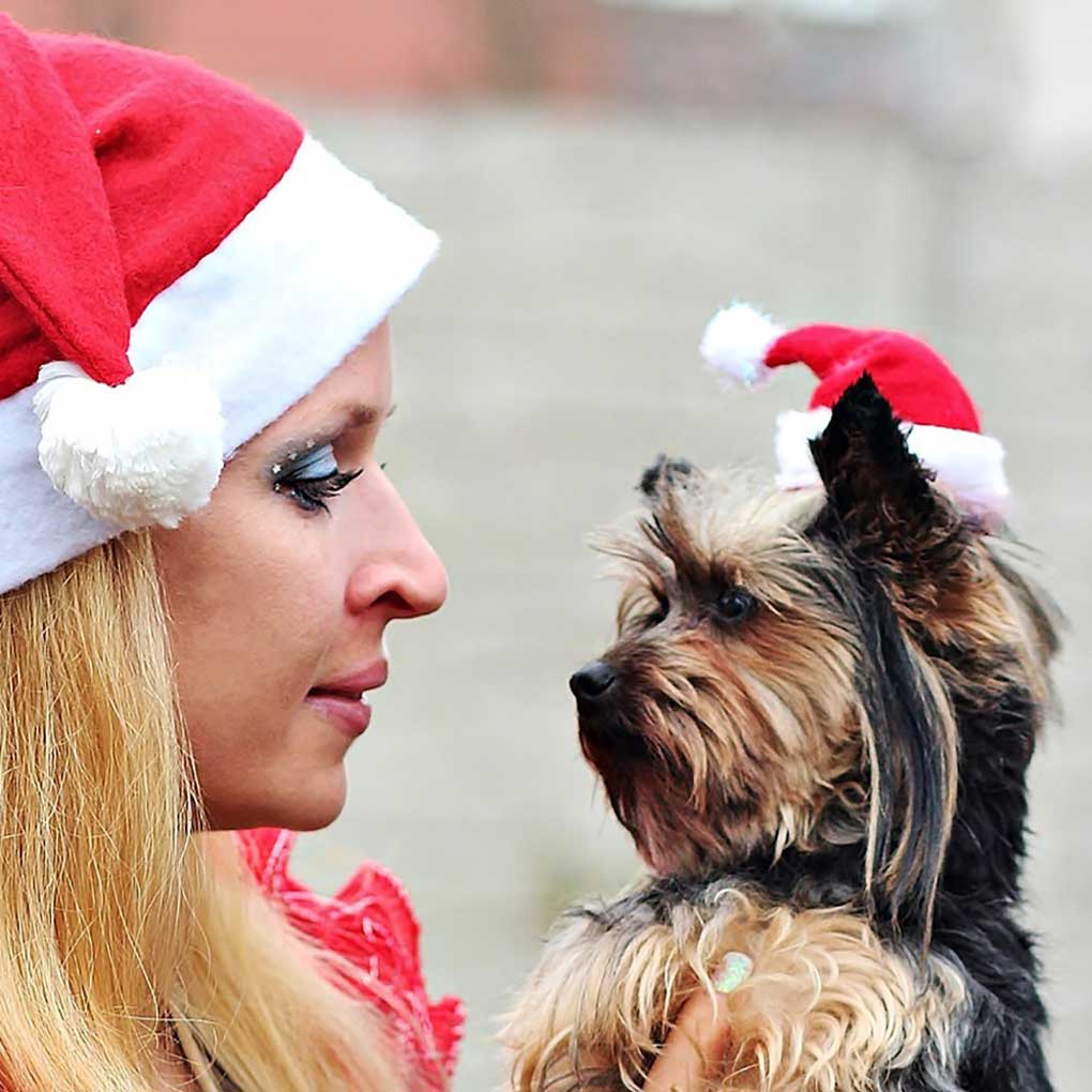 Christmas Hat Breathable Pet Caps Plush Cloth Skin Friendly with Windproof Rope Santa Claus Hats Home Decoration Good Elasticity