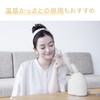 Panasonic Steamer Nano Care Compact Type Gold Tone EH-SA3C-N