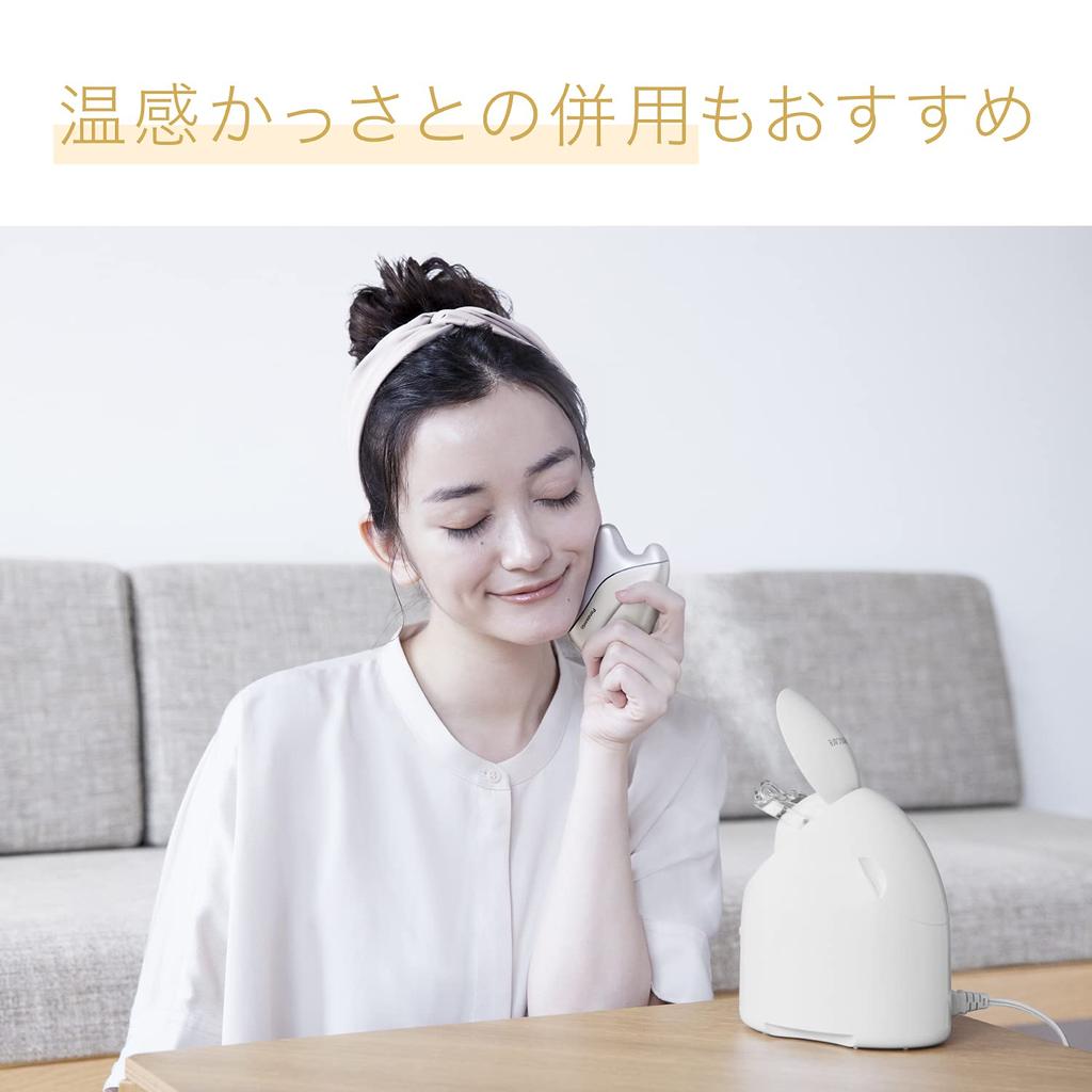 Panasonic Steamer Nano Care Compact Type Gold Tone EH-SA3C-N