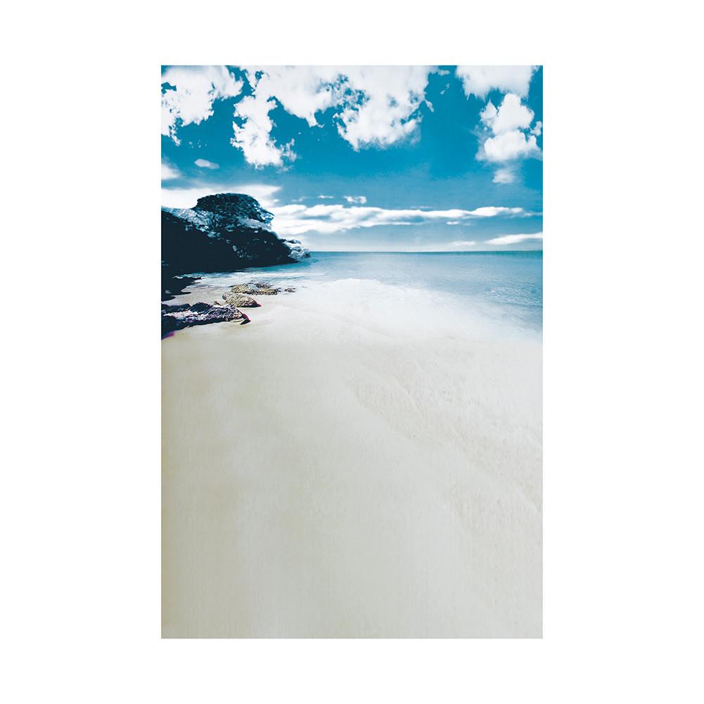 Summer Seaside Beach Photography Backdrop Tropical Ocean Palm Tree Sand Scenic Background for Photo Studio Portrait Video Shoot Party Decor Props