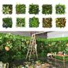 Green Simulation Turf Sheet 25*25cm DIY Plant Panel Creative Garden Grass Wall Home Decoration