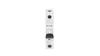 Circuit Breaker 1P D 25A 6kA AC PL6-D25/1 286547