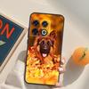 Deutscher Schäferhund Hülle Für OnePlus 12R 13R 13T 10R 15 13 12 11 10T 8T Nord CE 4 3 2 Lite N20 N30 Nord 5 Abdeckung