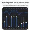 HuiDu AI Conference Audio/Video Feedback Suppressor (CN Version)