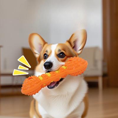 Köpek – Köpek oyuncakları