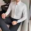 Men's Long-Sleeve Non-Iron Shirt with Hidden Placket and Big Point Collar – Korean Style, Casual Temperament