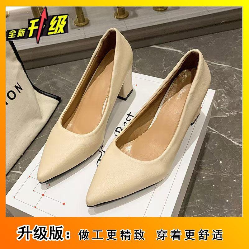 2025 Temperament Pointed Versatile Professional French High Heels New Middle Heel Comfortable Nude 35-42 Large Size Women's Shoes