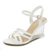 2020 Summer New All-around Summer Women's Shoes One Word Buckle Simple Slope Heel Sandals Transparent LFD