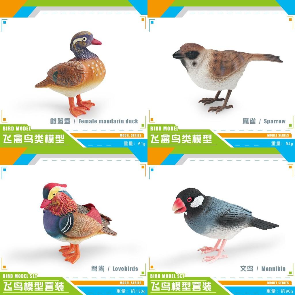 Realistic Decorative Animal Model Set Featuring Colorful Duck Sparrow Finch And Tit For Home And Office Display