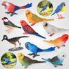 Children's Solid Toy Animal Models: Flying Birds, Parrots, Robins, Finches, Cuckoos.