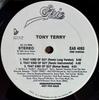 12 hüvelykes lemez TONY TERRY - That Kind Of Guy EAS4093 Epic 1990 UK Tánc & Elektronika Használt