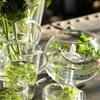 Dulton Glass Ball Candle Holder, Medium, Clear, BG023-1
