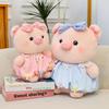 Super süßes Liebes-Schlüssel-Schwein Plüschtier Hochzeits-Überwürfe und Streusel Geschenke für Chinesische Valentinstagsfeiern für Mädchen