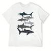 Sharks, Illustration, Art Print ,Ocean Life,Sea Life ,Animal ,Marine Biologist ,Kids ,Boys, Gender Neutral ,Educational  T-Shirt