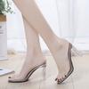 2025 Spring New Internet Celebrities with Transparent High Heel Sandals Women's Thick Heel Crystal and Cool Slippers Outside