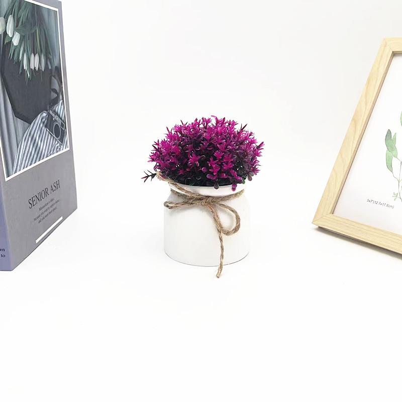 Plastic Veronicastrum Caulopterum Flower Pot With Rope Butterfly Tie For Home Decor And Garden Display