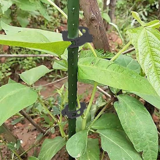 Plant Fixing Clip Reusable Tomato Vine Clips Garden Plant Support Clips for Tomato Grape Vine Vegetables Vertical Gardening