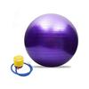 Exercise Ball Extra Thick Yoga Ball Chair for Office & Home & Gym