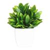 Useful Simulation Potted Plants Non Wither Durable Photography Prop