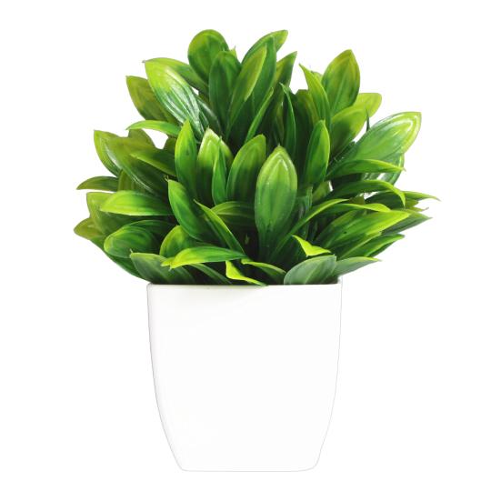 Useful Simulation Potted Plants Non Wither Durable Photography Prop