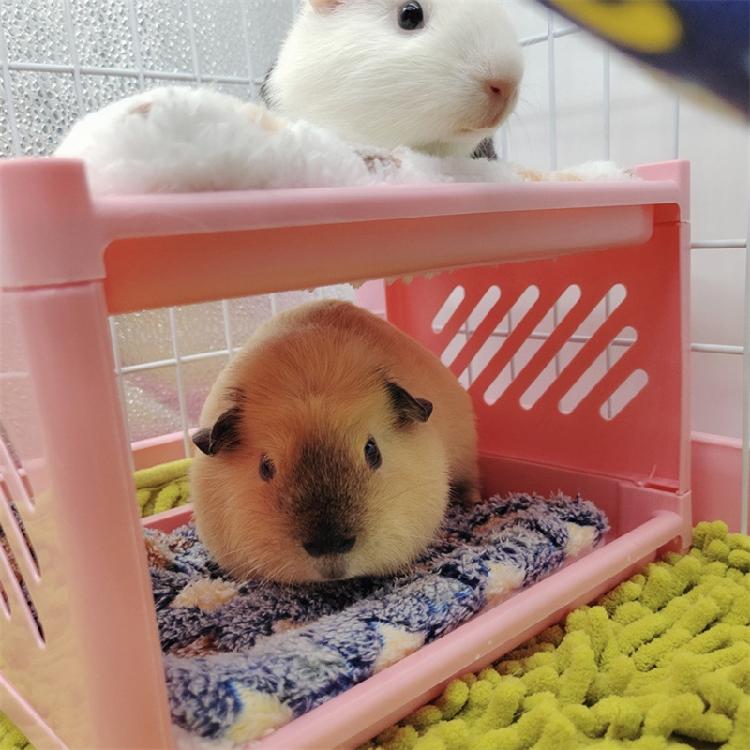 Hamster Bunk Bed Small Animals Corner Warm Bed House Nest Accessories