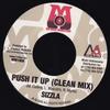 7-Zoll Schallplatte SIZZLA - Push It Up MM100 Mo' Music Produ 2002 US Reggae, Ska & Dub Gebraucht
