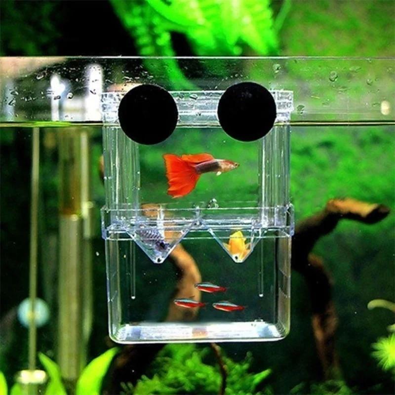 Multifunktionell Fiskbehållare Högupplöst Fiskodlingsisoleringslåda Akvarium Uppfödare Fiskbehållare Dubbel Guppy-inkubator
