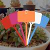 Seedling Label Nursery Tag Plastic T-type  Garden Flower  Thick Marker  Plant MIT