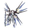 PG Strike Freedom Gundam Suit Gundam SEED 1/60 ZGMF-X20A (Mobile DESTINY)