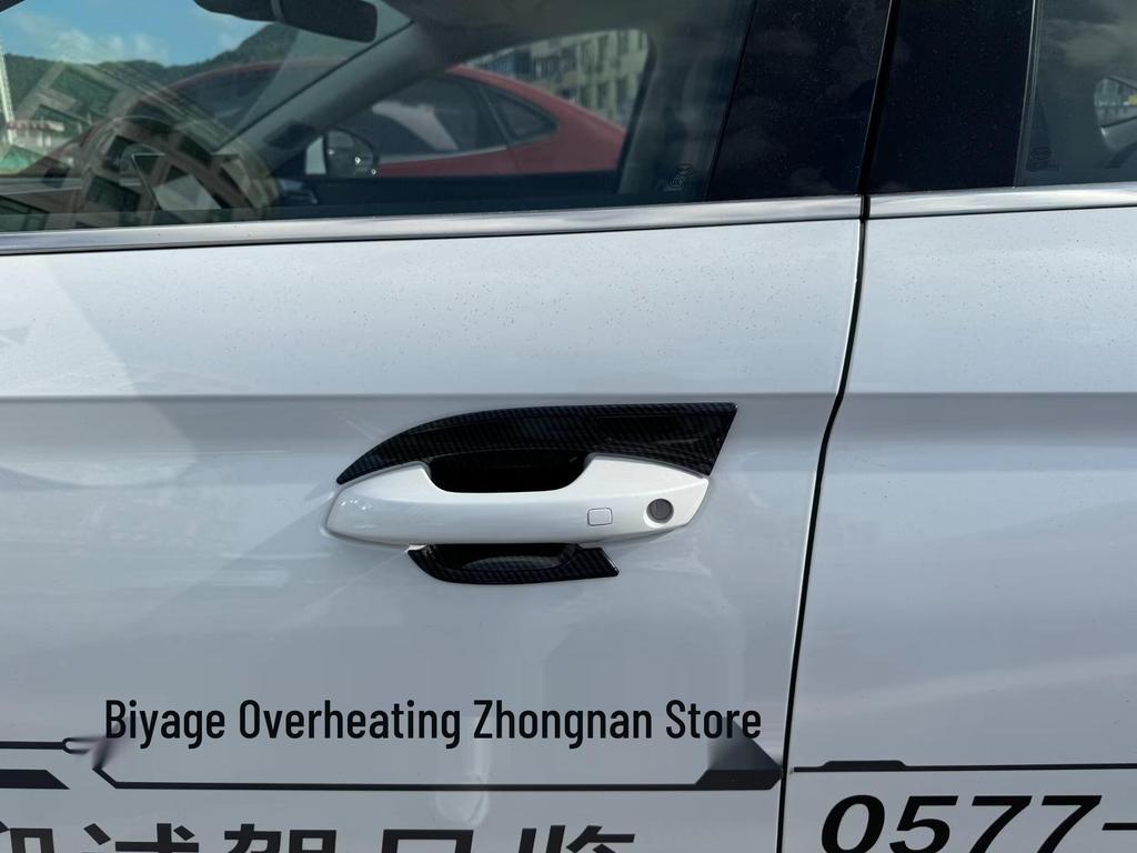 Compatible with 2024 Qin L/Dmi: Door Handles, Door Cups, Mirror Covers, Grille, Spoiler, Fender, Shark Fin.