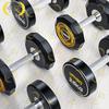 Zhongjing 390KG Fixed Dumbbell Set with 3-Tier Rack