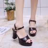 Summer New Korean Version Thick Heel One-word Buckle with Fish Mouth Sandals Waterproof Table Versatile Ultra-high Heel Platform Women's Shoes