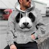 Heren Panda Grafische Prints Hoodie Hoodies Sweatshirt Designer Casual Grote Maten Lange Mouwen Met Capuchon