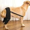 Knee Hip Joint Protect Legs Protector Joint Injury Recovery Support Belt Pet Knee Pad  Dog