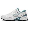 Li Ning Shiguang Retro Reflective Fabric Synthetic Leather Non-Slip Wear-Resistant Breathable Low-Top Running Shoes Men Sneaker ARXT007-2