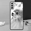 Pomeranian Hund Handyhülle Für Samsung Galaxy S24 Ultra S25 Ultra S9 S10 S20 S21 S22 Plus S23 S24 FE Hülle