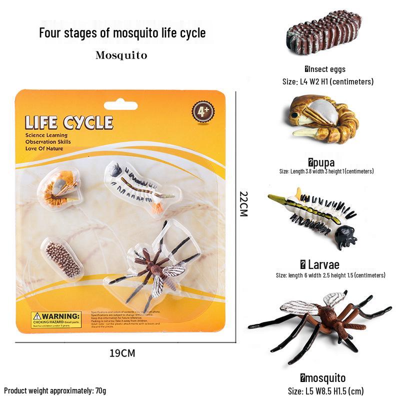 Pediatric Cognitive Simulation: Mini Salmon Growth Cycle Toy