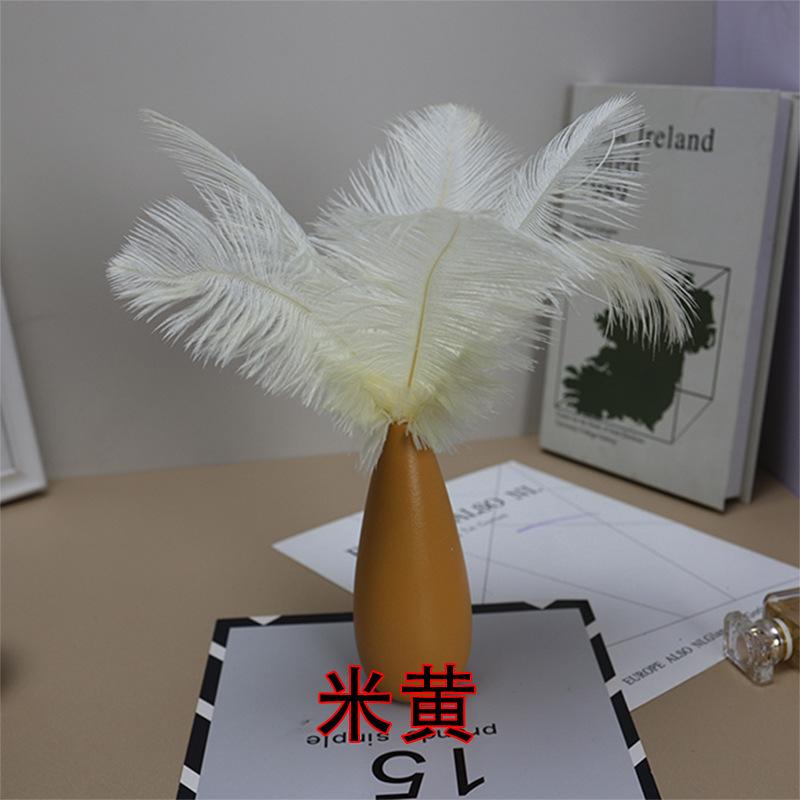 10PCS 20-25Cm Ostrich Feather Stage Performance Feather Handmade Diy Jewelry Decorative Material Ostrich Hair