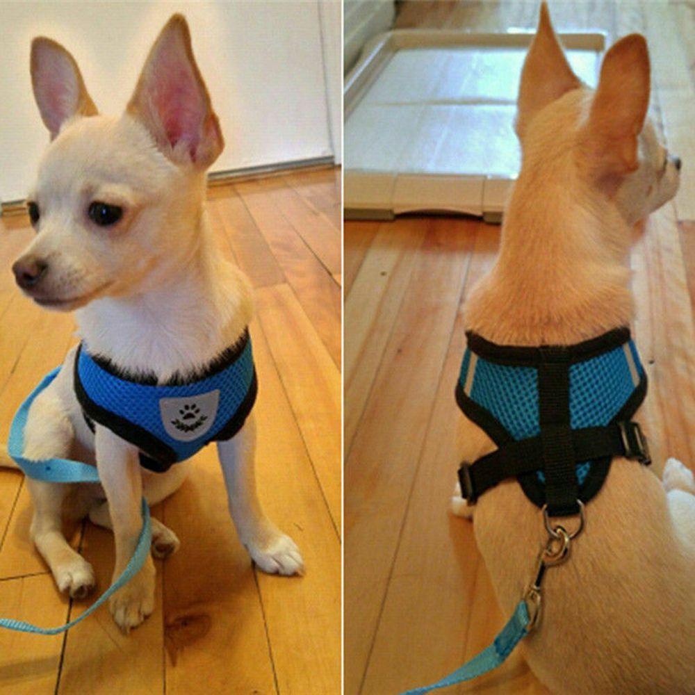 Comfortable Cat Mesh Fabric Collar Puppy Vest Dog Leash Pet Harness