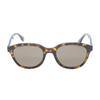 Used Fendi Sunglasses Shiny Havana Sunglasses