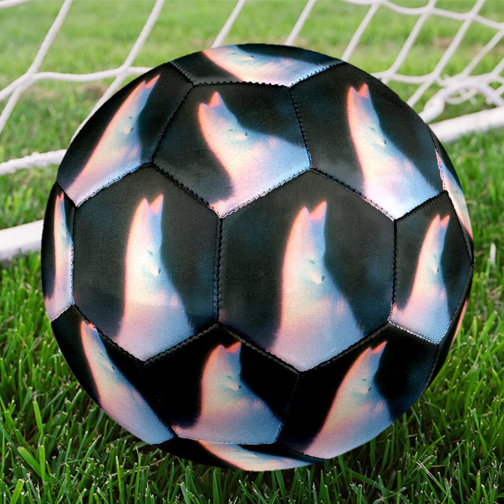 1pc Fox Size 5 Soccer Ball Professional Match Training Football Indoor &Outdoor Sports Ball Lightweight Durable c6559