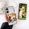 Golden Retriever Dog Pet Animal Cover for Motorola Moto Edge 50 30 Fusion 40 NEO Ultra Pro G22 G23 G20 G35 G84 G13 G53 Case