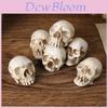 Halloween Skull Decor Miniature Resin Figurine For Party And Gift Giving