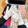 Casual Knitted Gloves Cold Proof Mittens New Touch Screen Gloves Women Men